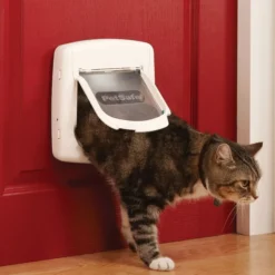 PetSafe Extra Magnetische Halsbandsleutel met Bandje