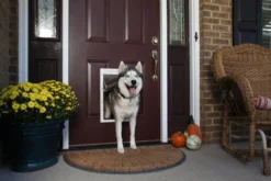PetSafe Extreem Weer Honden- en Kattenluik