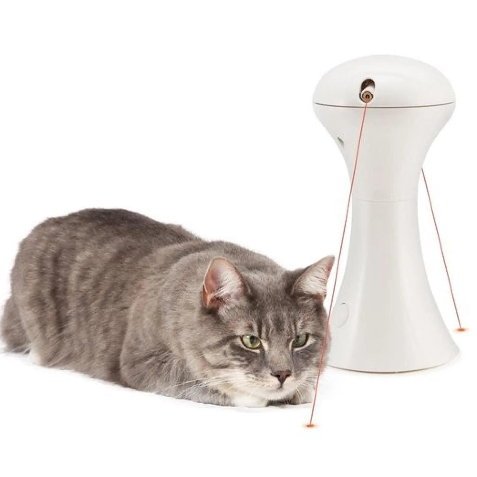 Petsafe Frolicat Multilaser