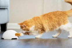Petsafe Frolicat Vossenstaart