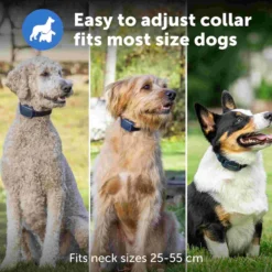 PetSafe Hondentrainer Basic met Afstandsbediening