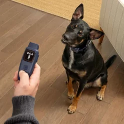 PetSafe Hondentrainer Basic met Afstandsbediening