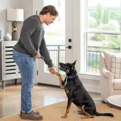 PetSafe Hondentrainer Basic met Afstandsbediening