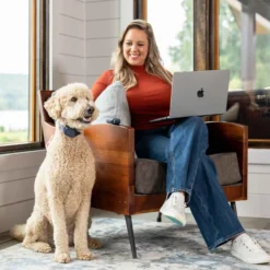 PetSafe Hondentrainer Basic met Afstandsbediening