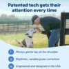 PetSafe Hondentrainer Core met Afstandsbediening