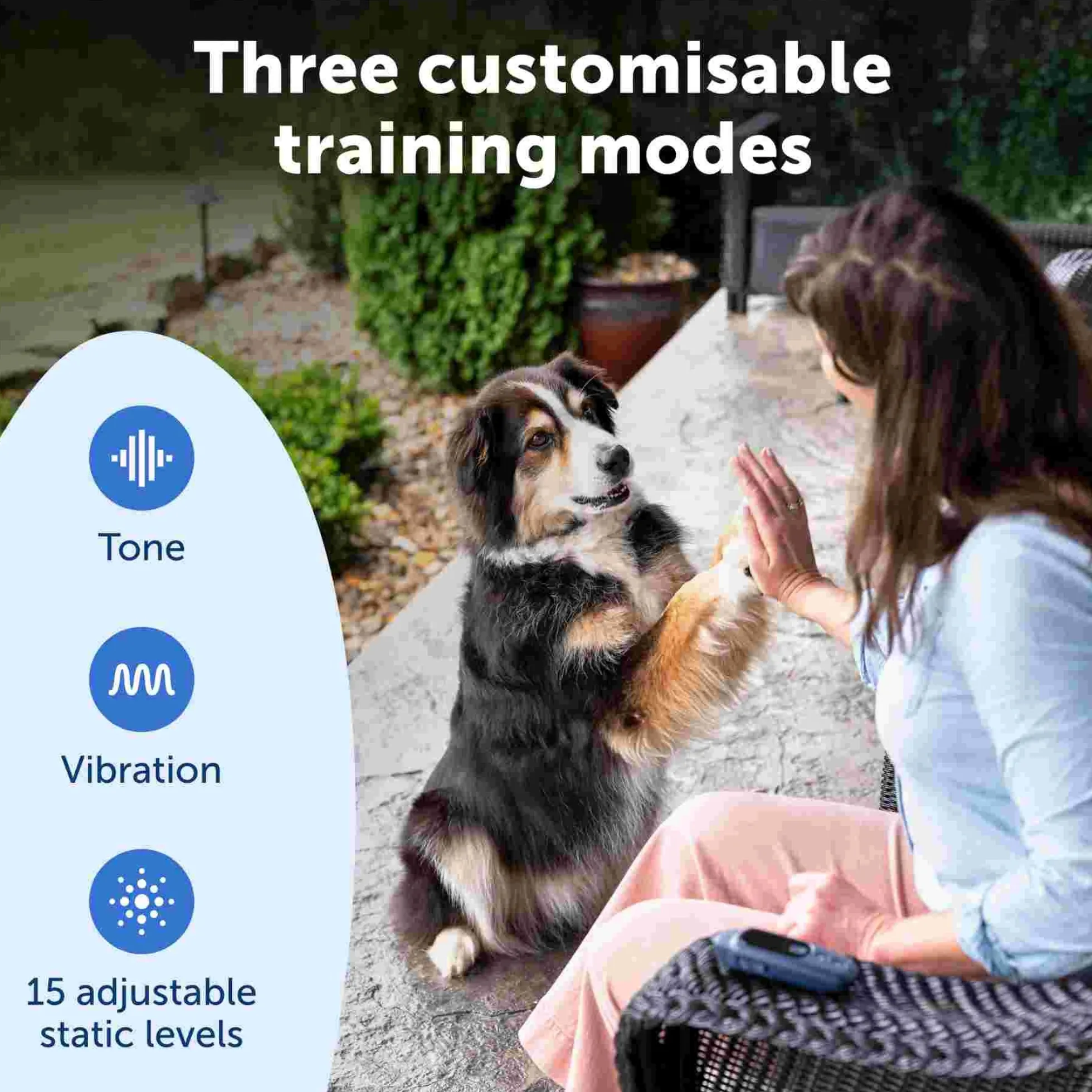 PetSafe Hondentrainer Core met Afstandsbediening