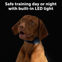 PetSafe Hondentrainer Core met Afstandsbediening
