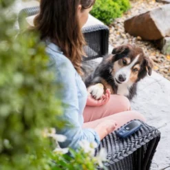 PetSafe Hondentrainer Core met Afstandsbediening