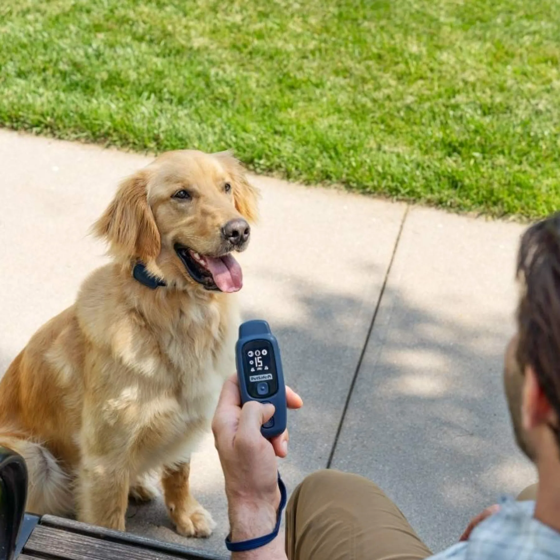 PetSafe Hondentrainer Core met Afstandsbediening