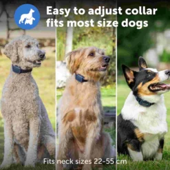PetSafe Hondentrainer Pro met Afstandsbediening