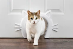 PetSafe Kattenluik Binnenshuis