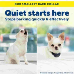 PetSafe NanoBark 2.0 Anti-Blafband