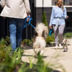PetSafe NanoBark 2.0 Anti-Blafband