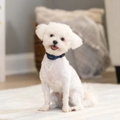 PetSafe NanoBark 2.0 Anti-Blafband