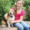 PetSafe Oplaadbare Onzichtbare Omheining