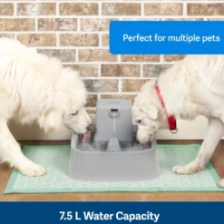 Petsafe Pet Fountain Drinkwell grote huisdieren