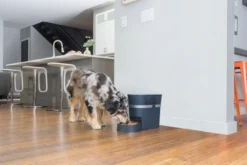 Petsafe Smart feed Automatic Pet Feeder