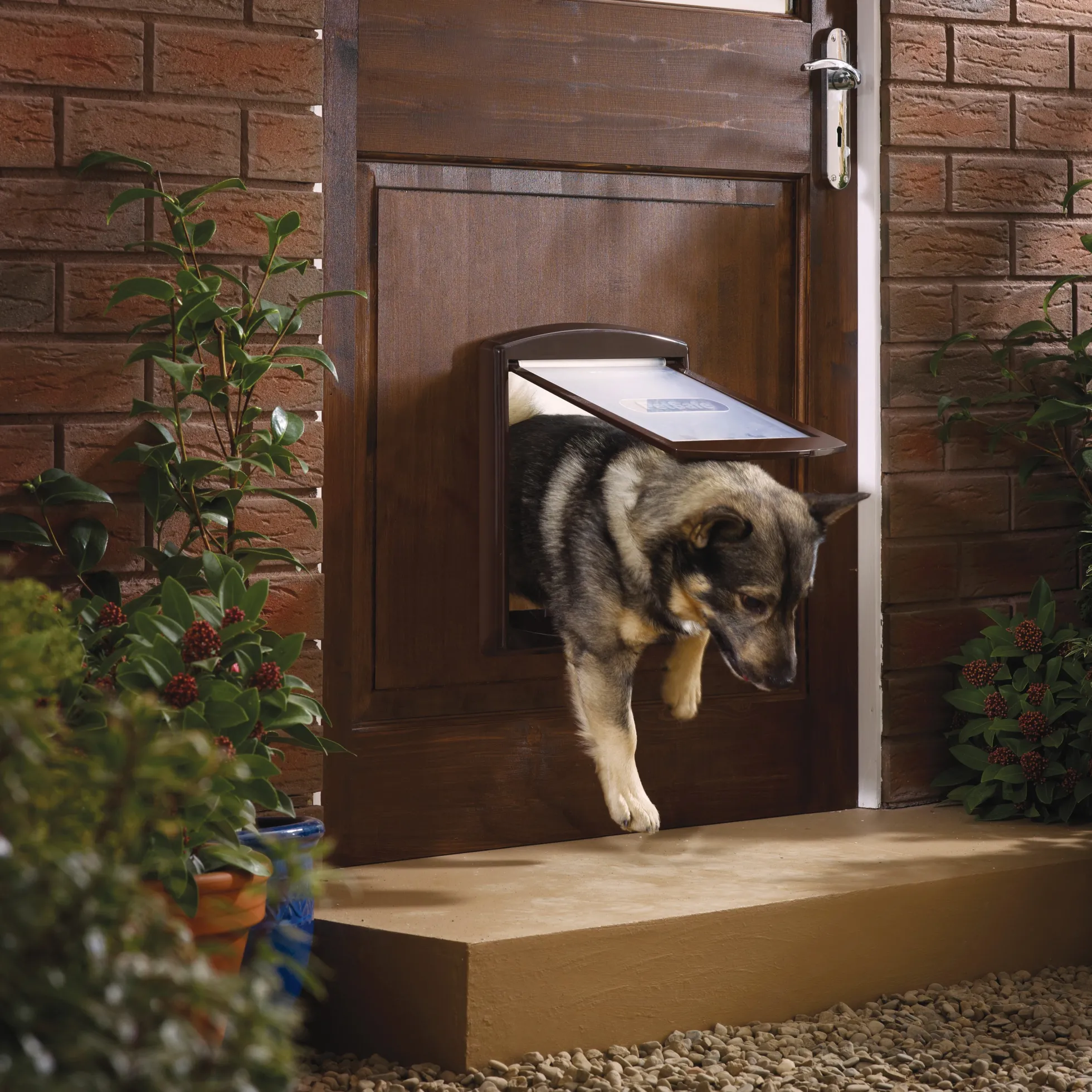 PetSafe Staywell Original 2-Way Huisdierenluik Medium - Bruin