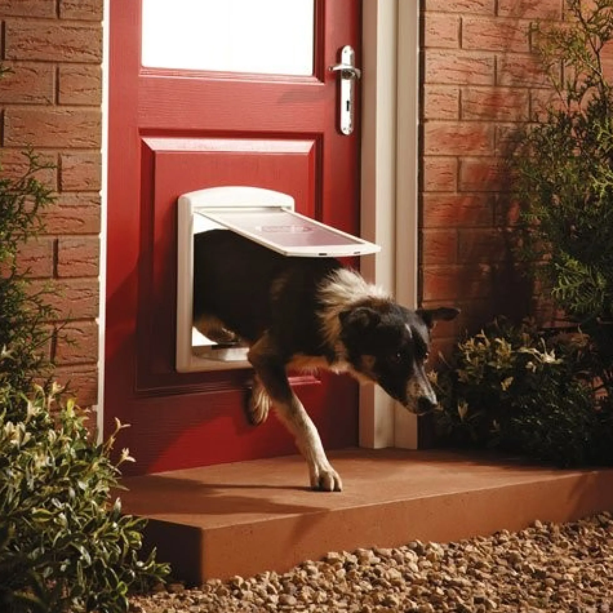 PetSafe Staywell Original 2-Way Huisdierenluik Medium - Wit