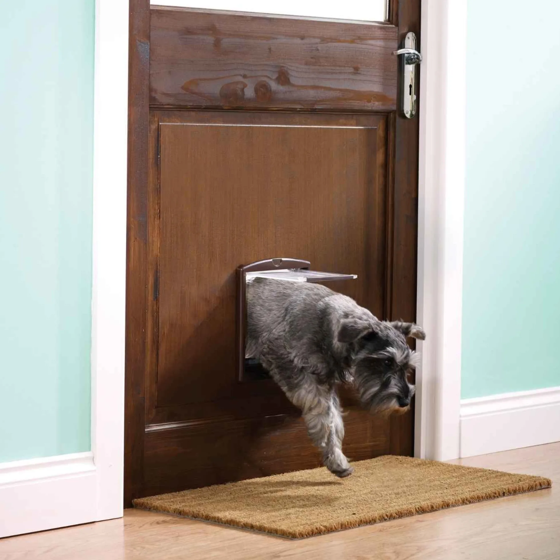 PetSafe Staywell Original 2-Way Huisdierenluik Small - Bruin