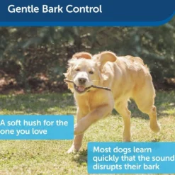 Petsafe Ultrasoon Anti-Blaf Vogelhuisje