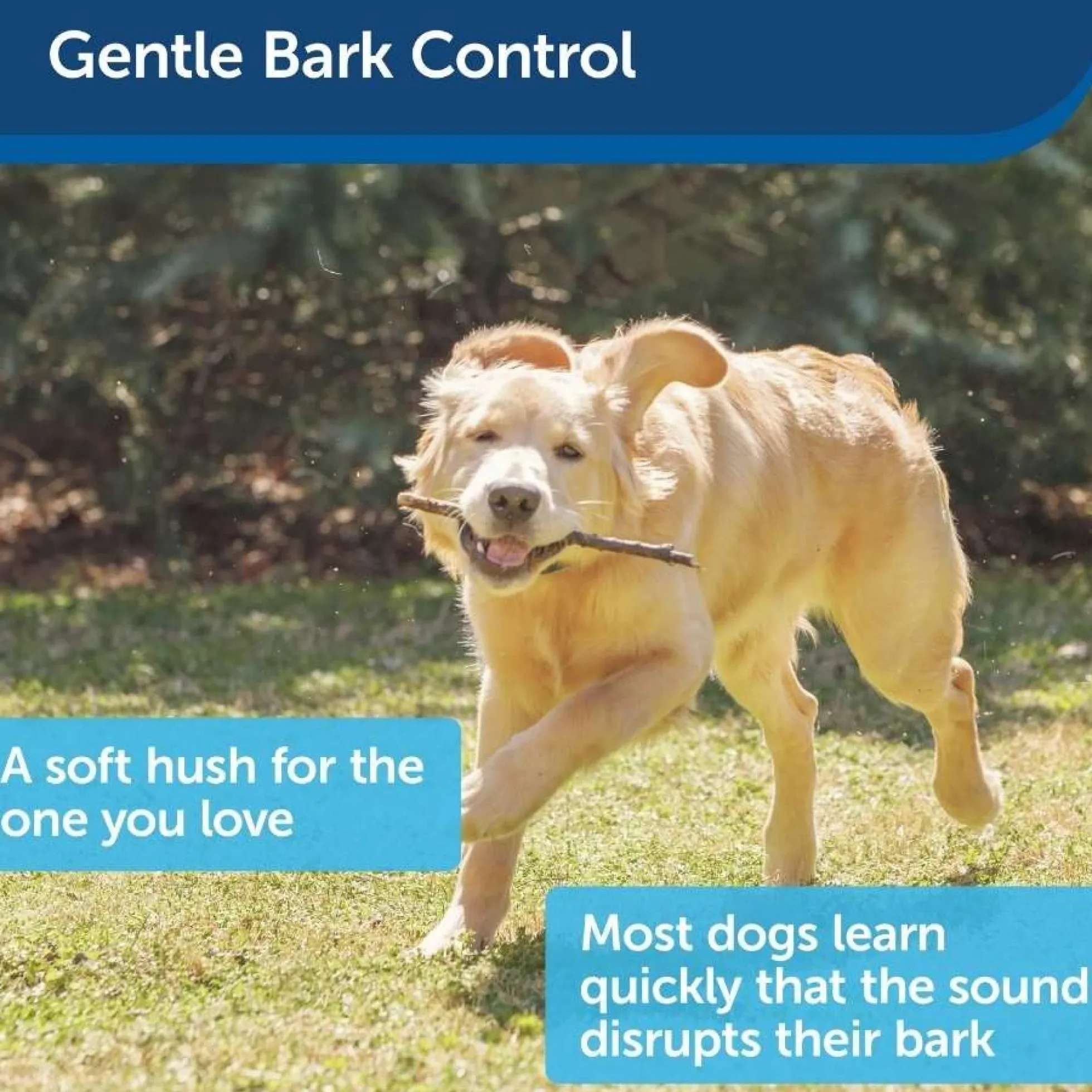 Petsafe Ultrasoon Anti-Blaf Vogelhuisje