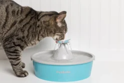 PetSafe Vlinder Drinkfontein 1,5ltr