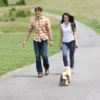 Pet Trainer