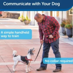 Pet Trainer
