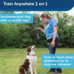 Pet Trainer