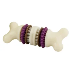 Premier Busy Buddy Bristle Bone