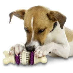 Premier Busy Buddy Bristle Bone