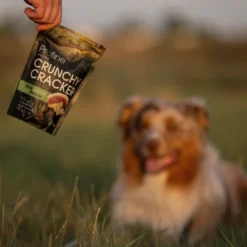 Profine Crunchy Cracker Eend 150 g