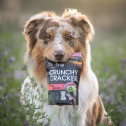 Profine Crunchy Cracker Lam