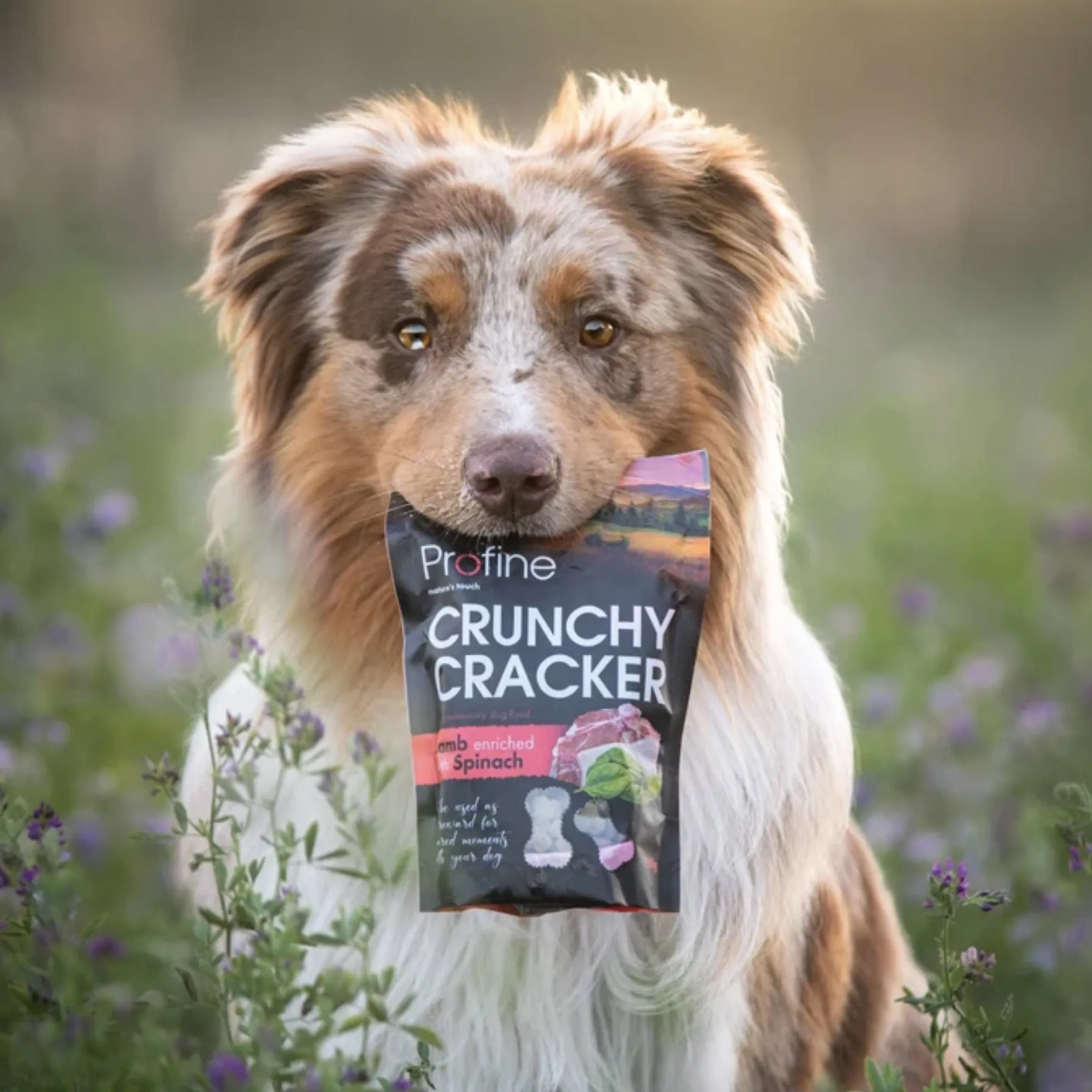 Profine Crunchy Cracker Lam