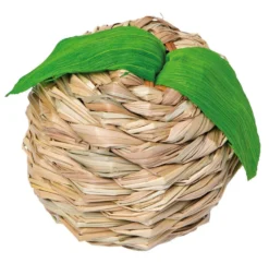 Quapas! Bulrush apple