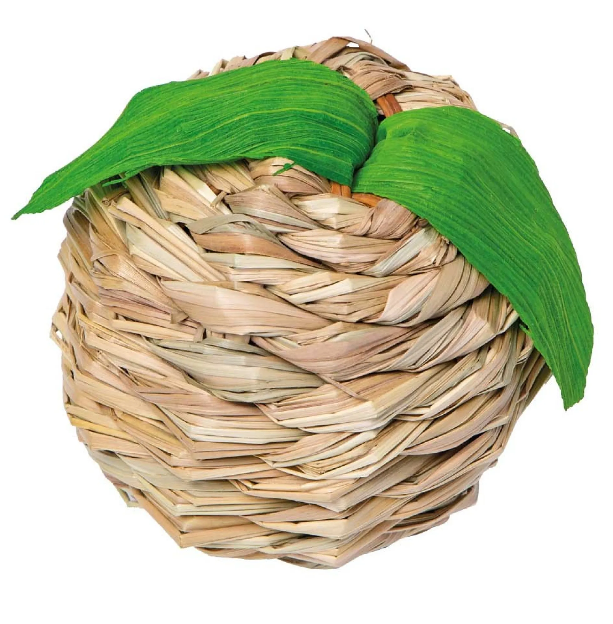 Quapas! Bulrush apple