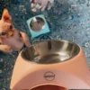 Quapas! Cat bowl Soft pink