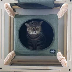 Quapas! Catcube Groen L
