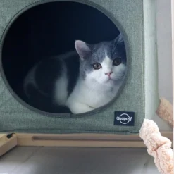 Quapas! Catcube Groen M