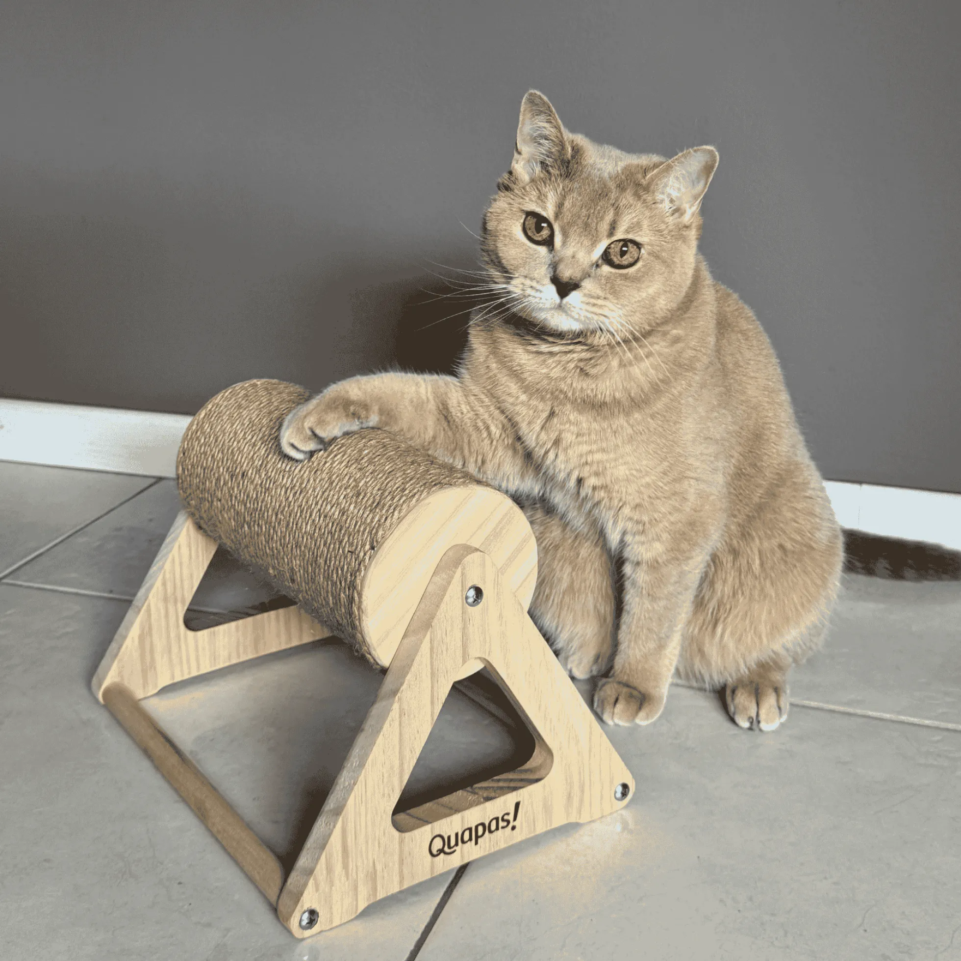 Quapas! Cat scratching cylinder M