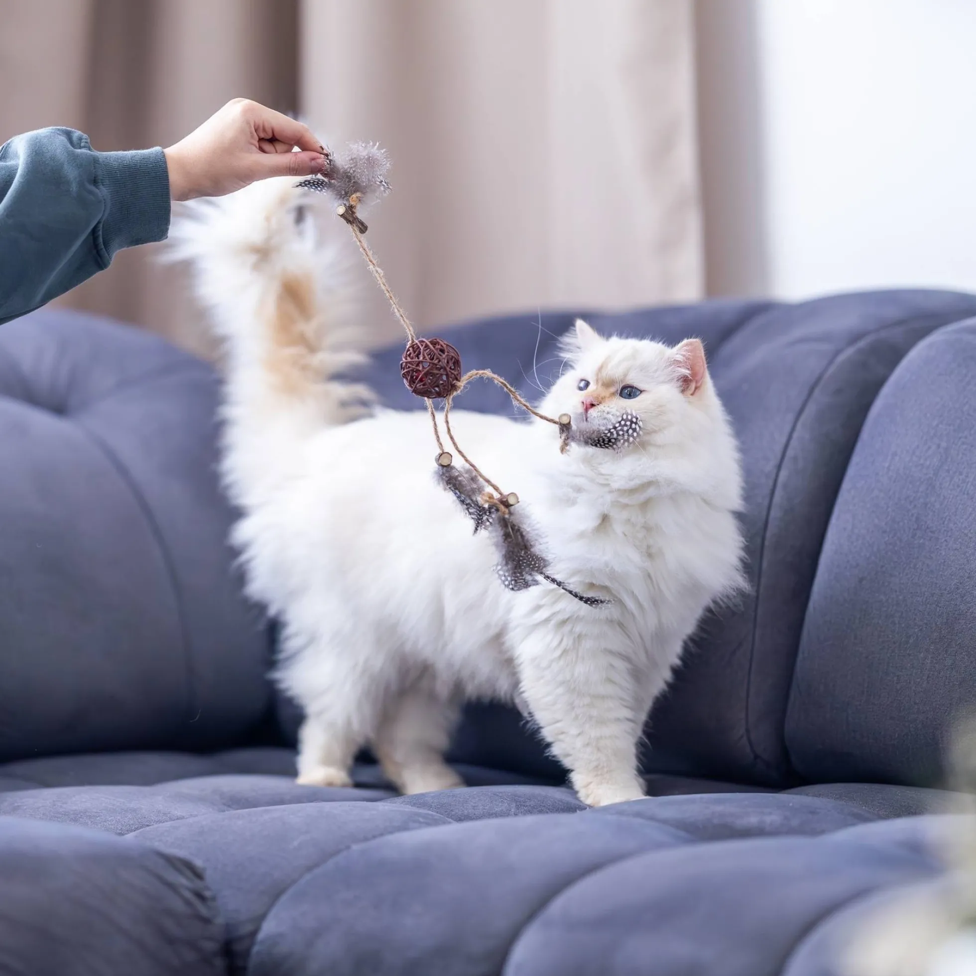 Quapas! Cat toy Rattan ball with feathers B