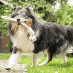 Quapas! Dog Toy Coffeewood Lasso