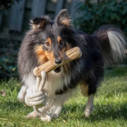 Quapas! Dog Toy Coffeewood Shoot