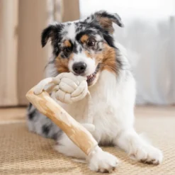 Quapas! Dog Toy Coffeewood Shoot