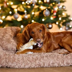 Quapas! Dog Toy Coffeewood Shoot