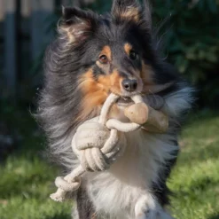 Quapas! Dog Toy Coffeewood Shoot