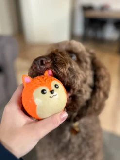 Quapas! Dog Toy Fun Cute fox