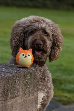 Quapas! Dog Toy Fun Cute fox