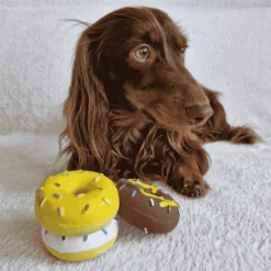 Quapas! Dog Toy Fun Donut